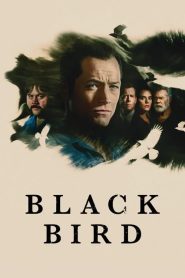 Black Bird (2022) EP.1-6 ซับไทย