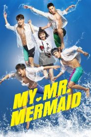 My Mr. Mermaid พุ่งด้วยใจ ไปสู่ฝัน ตอนที่ 1-36 พากย์ไทย