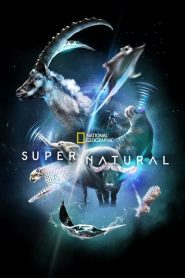 Super/Natural (2022) EP.1-6 Soundtrack ซีรีย์สารคดี